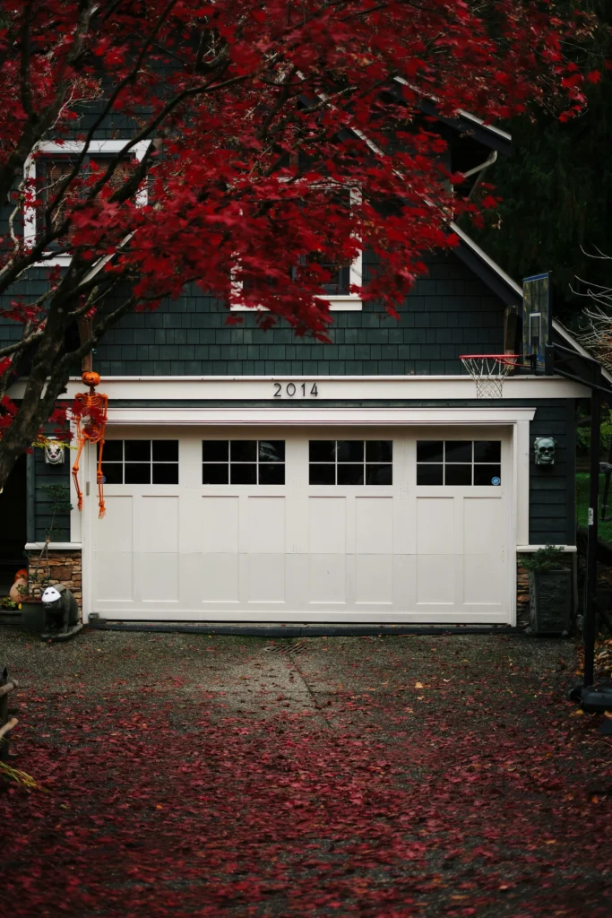 Garage Door Repair Wall Lake